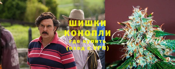прущая мука Гусиноозёрск