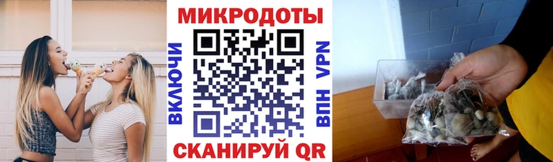 Купить  Тосно  Галлюциногенные грибы мухоморы 