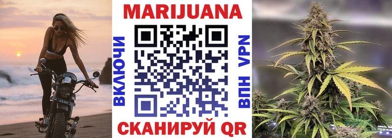 Купить  Тосно  Шишки марихуана сатива 